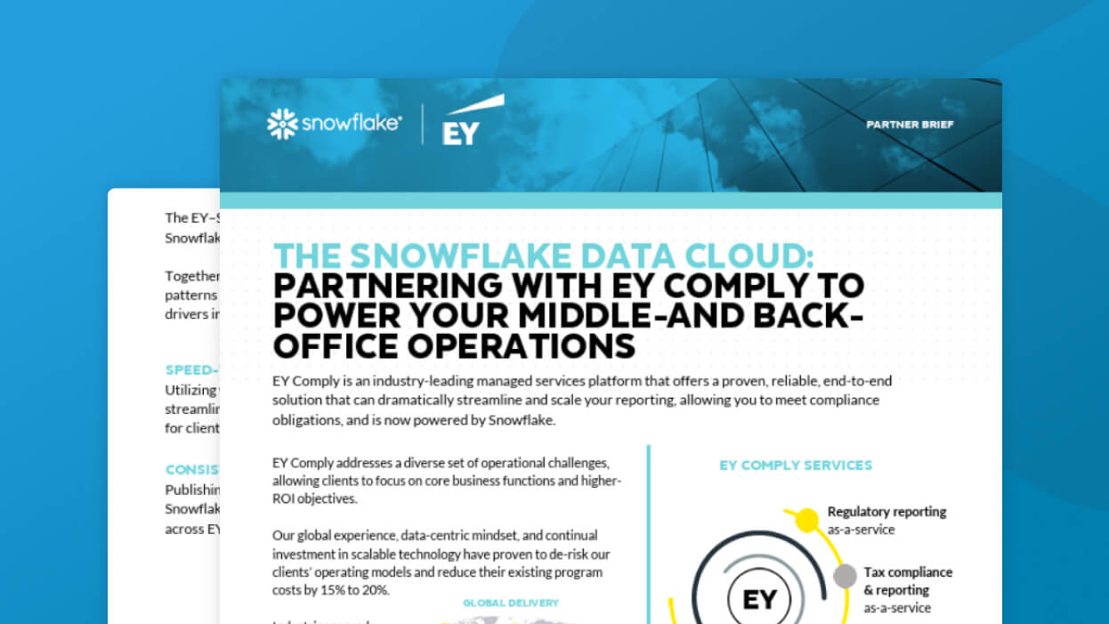 the-snowflaek-data-cloud-pdf-cover